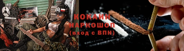 амф Богданович