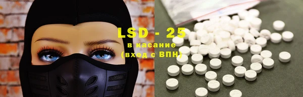 PSILOCYBIN Богородицк