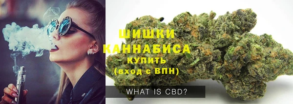 PSILOCYBIN Богородицк