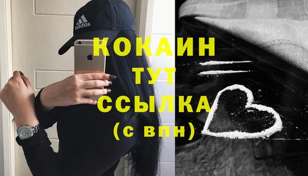 PSILOCYBIN Богородицк