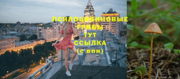 амф Богданович