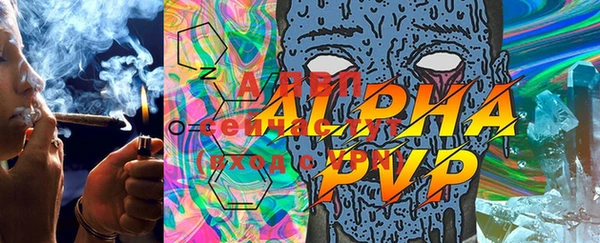 PSILOCYBIN Богородицк