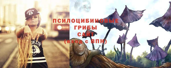 PSILOCYBIN Богородицк
