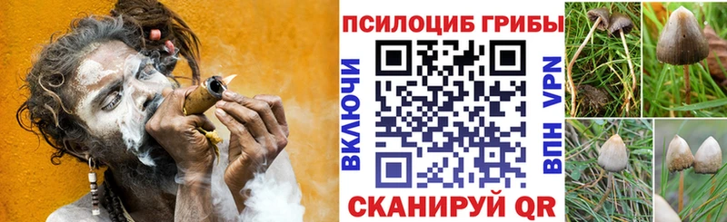 Галлюциногенные грибы мицелий  наркошоп  Кораблино 